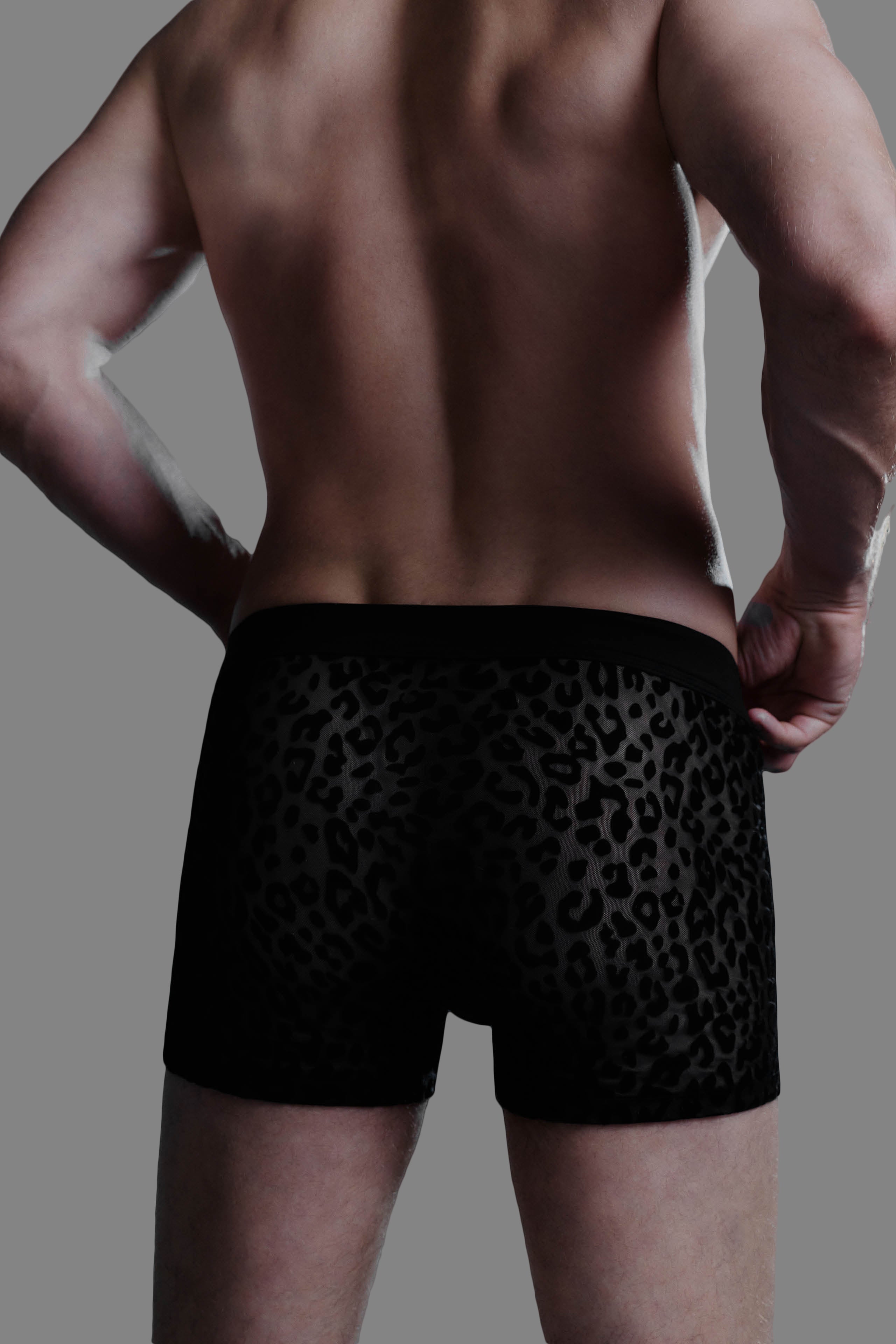 Boxer léopard Homme - 24 Secret Days