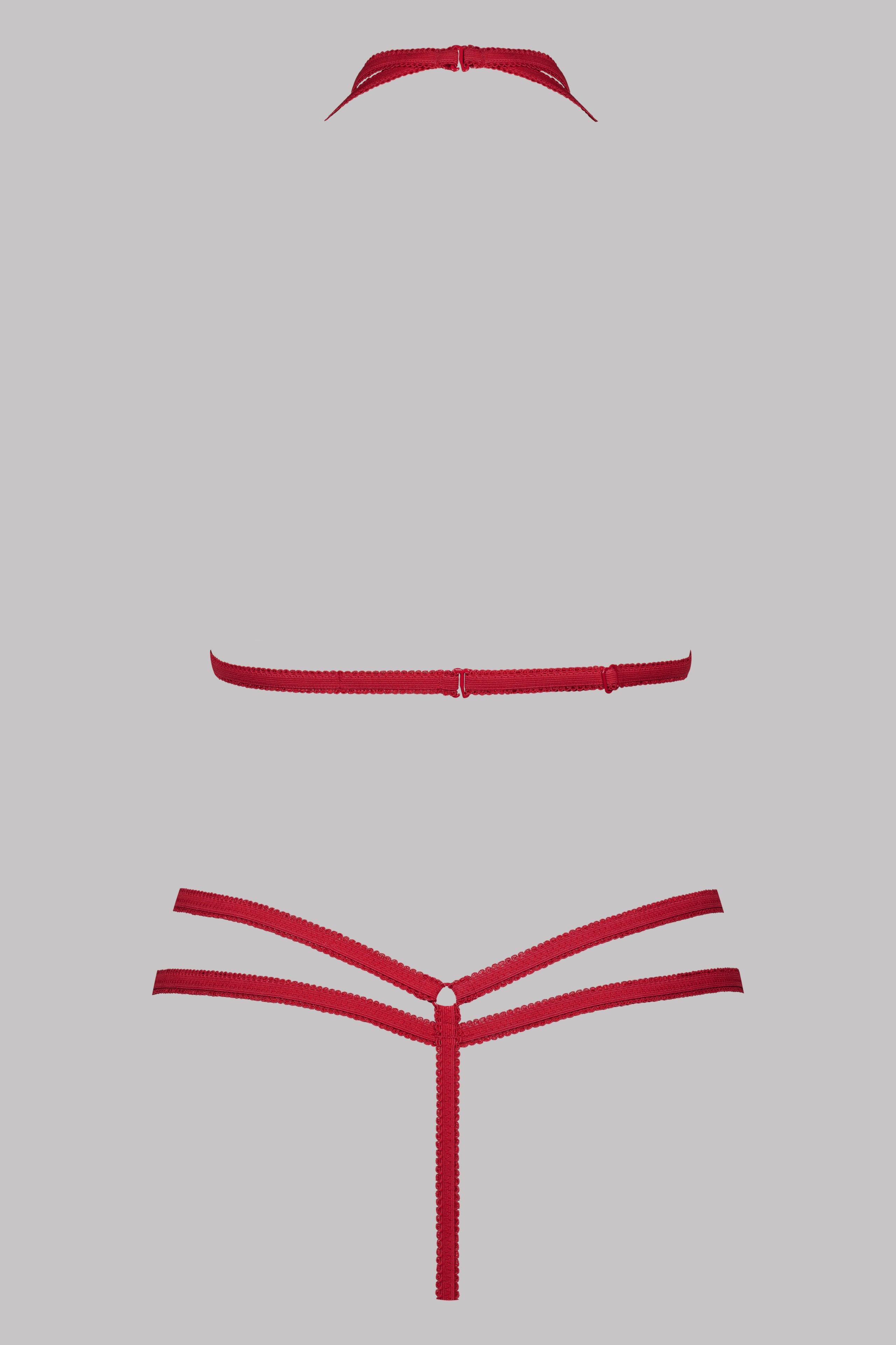 Harness & Thong Set - Le Petit Secret