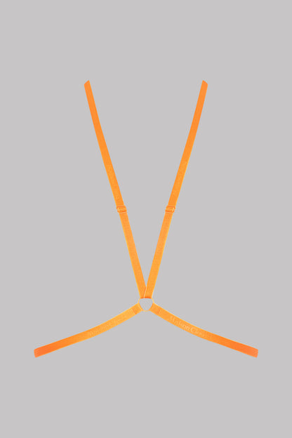 Harnais - Signature