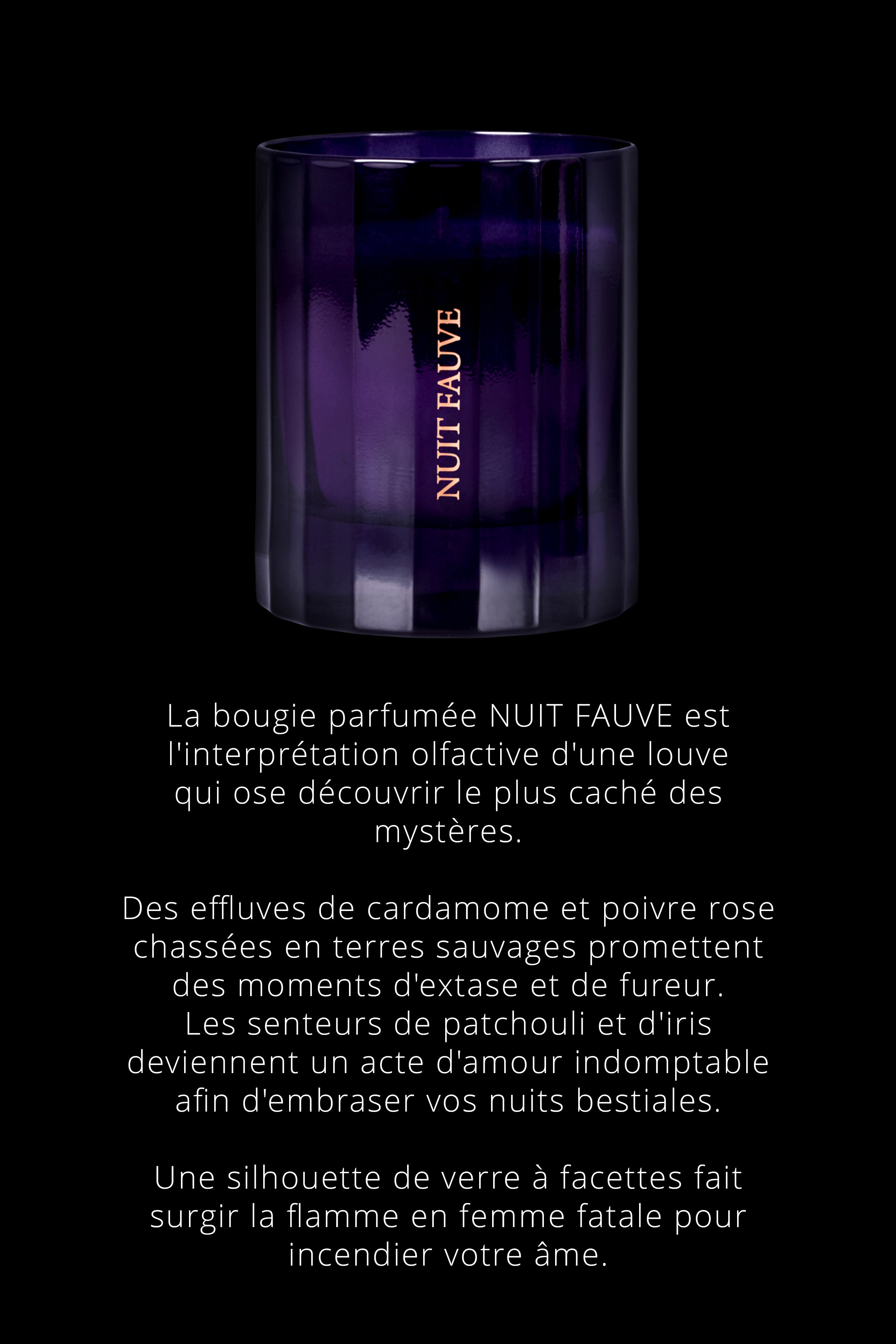 Candela Nuit Fauve - Note Chypre