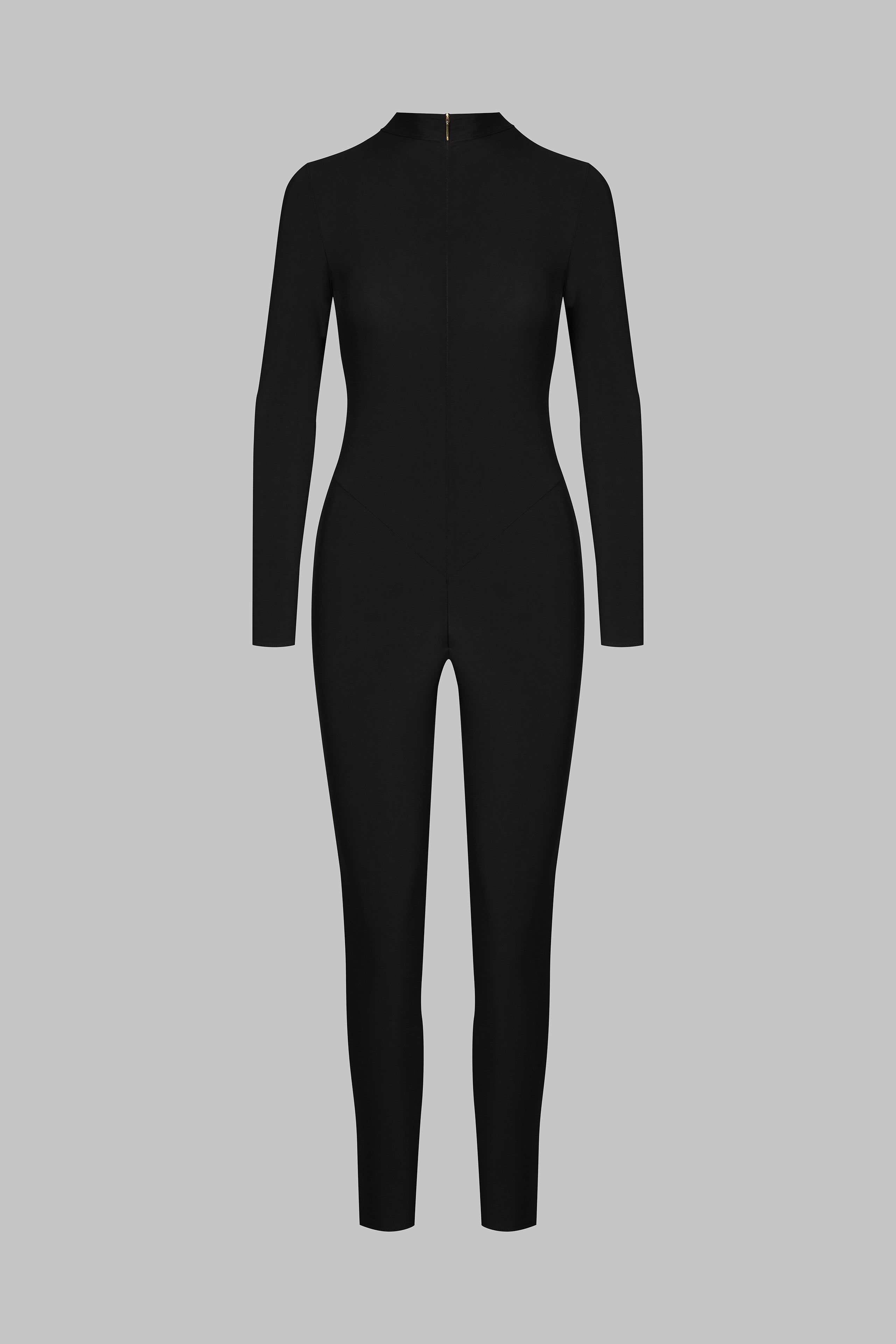 Long Sleeve Transparent Back Catsuit - Nuit Fauve