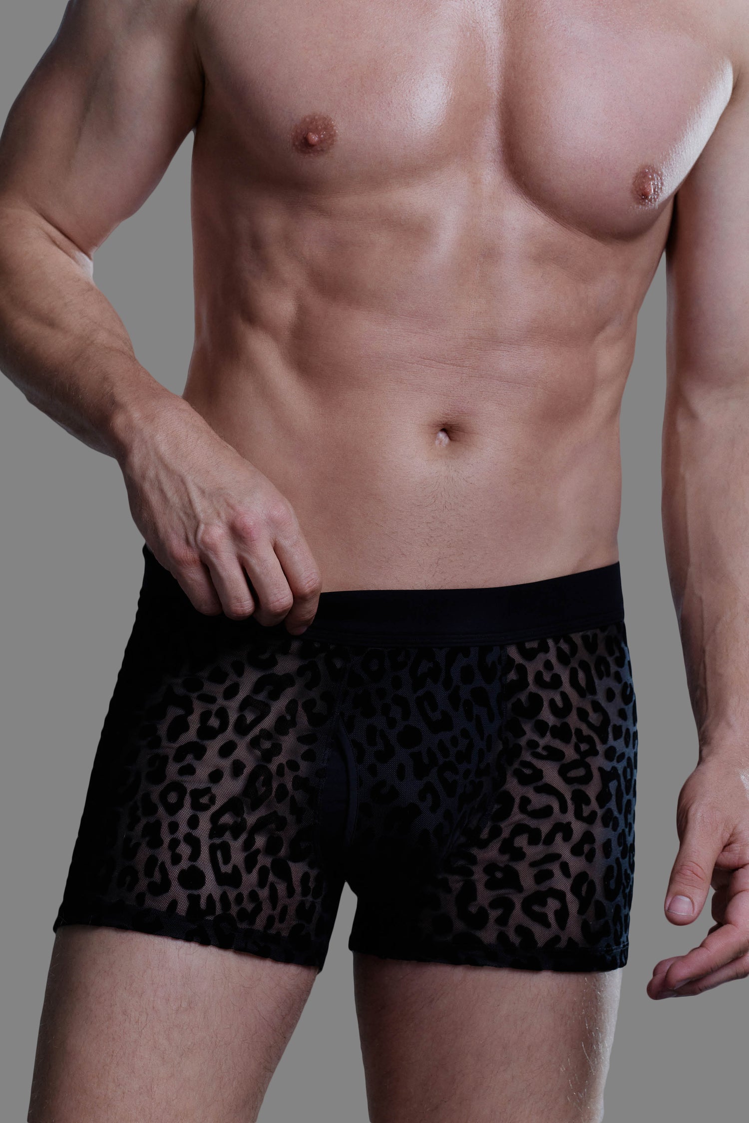 Boxer léopard Homme - 24 Secret Days