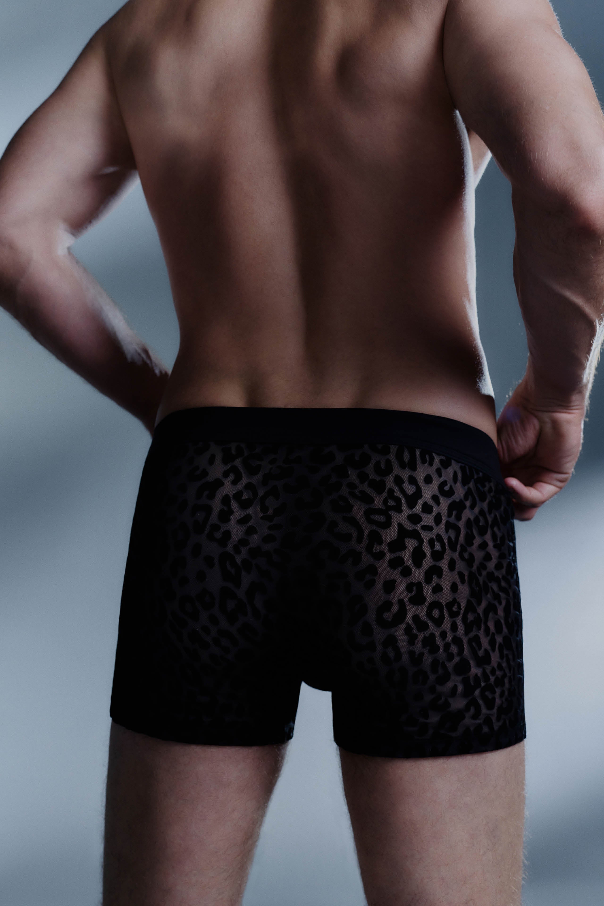 Boxer leopardati per uomo - Nero - 24 Secret Days