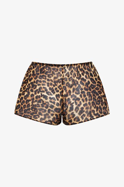 Shorts - Safari