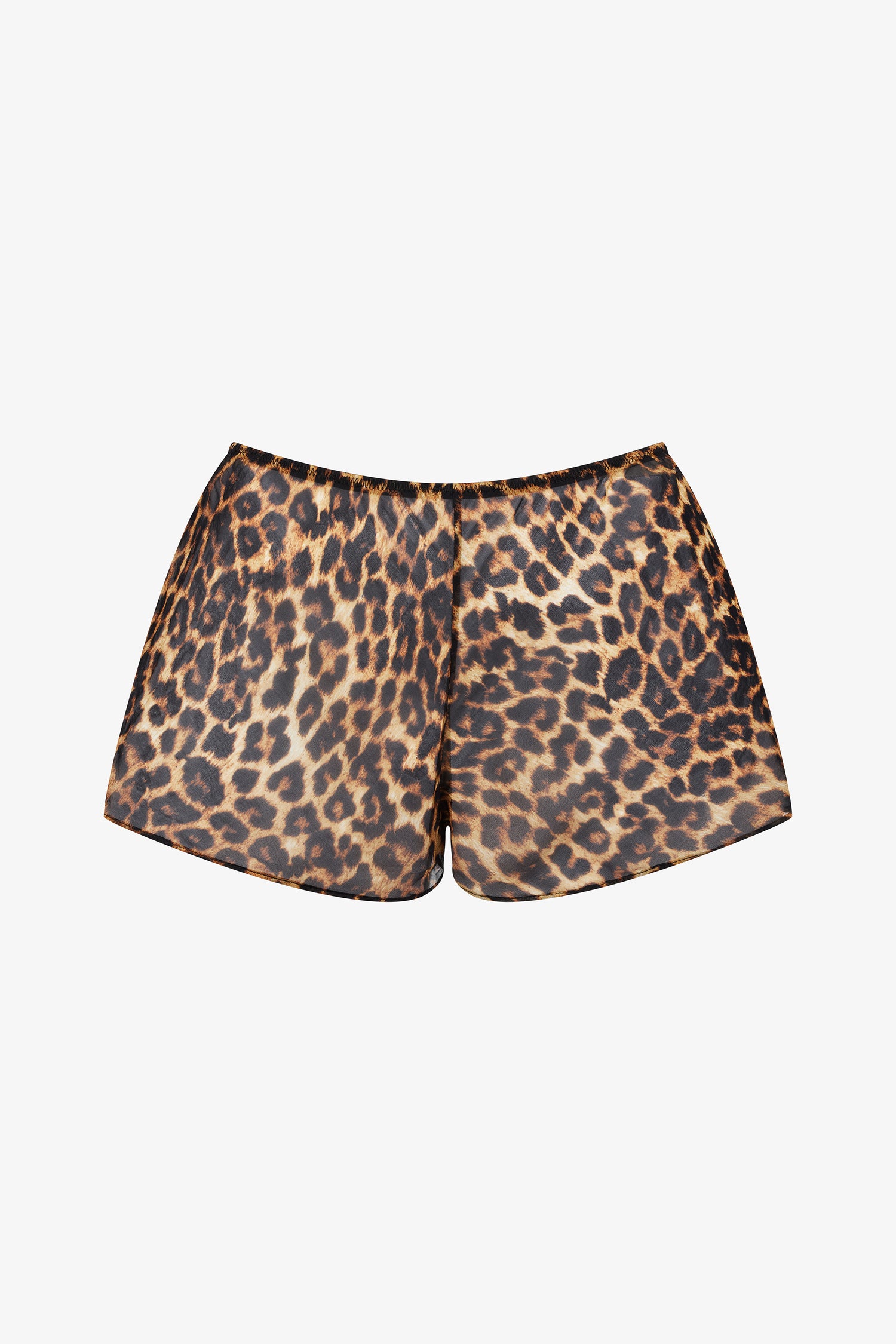 Short - Safari